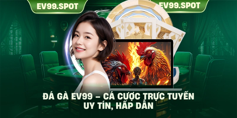 Đá gà EV99 – cá cược trực tuyến uy tín, hấp dẫn