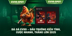 Đá Gà EV99 – Đấu Trường Kịch Tính, Cược Nhanh, Thắng Lớn 2025